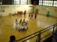 Palabasket