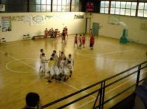 Palabasket