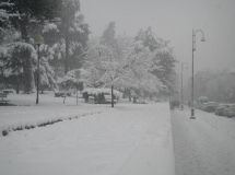Neve ascoli - c.so vittorio emanuele