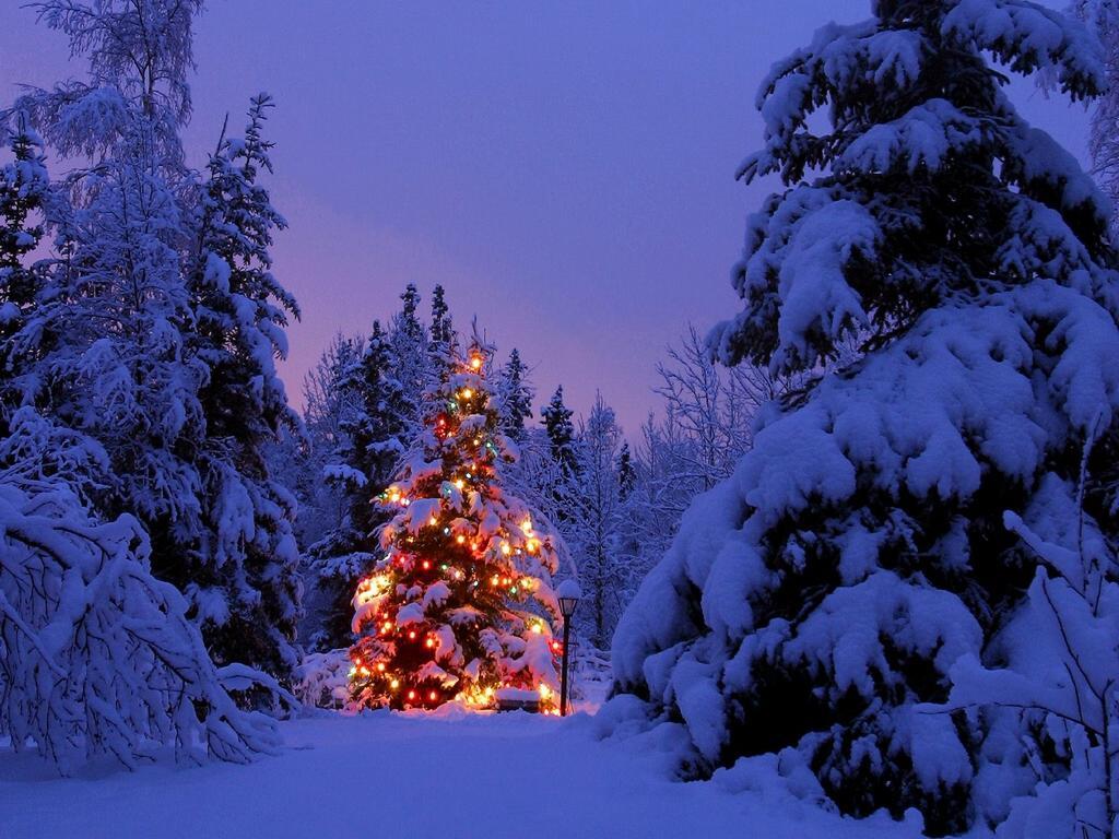 Un albero di Natale