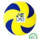 Il logo della LMD Pagliare Volley