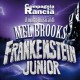 Frankenstein Junior