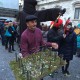 Carnevale Ascoli 2015