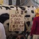 Carnevale Ascoli 2015