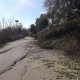 Strada provinciale per Appignano, 6 marzo 2015