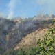 Incendio frazione Monte di Rosara, 21 settembre (foto di Cristiano Pietropaolo)