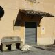 Terremoto, Montegallo