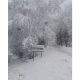 Neve a Castignano 16 gennaio 2017