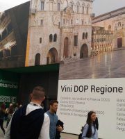 VINITALY 2018 (foto Chiara Poli)