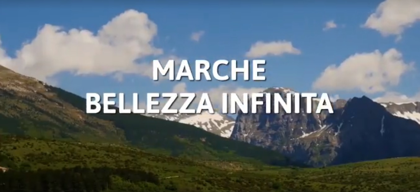 Le Marche A Rimini Per Il Meeting Importante Esserci Dopo Le Ferite 