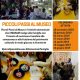 Piccoli passi al museo