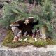 Presepi 2018 San Lorenzo di Montemonaco 3