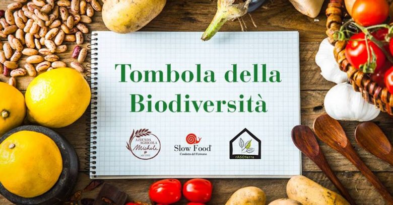"Slow food for kids"