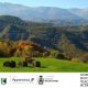 LOCANDINA DOMENICA 7 APRILE