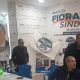 Elezioni Ascoli, lo spoglio controllato nella sede di Fioravanti