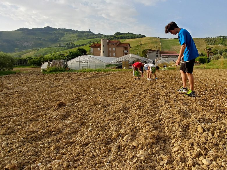 semina-canapa-foto-bioemphire-Ripatransone