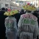 Carnevale di Ascoli, 23 febbraio 2020 (foto Leonardo delle Noci)