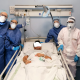 Coronavirus covid-19 paziente estubato nelle Marche