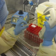Coronavirus laboratorio