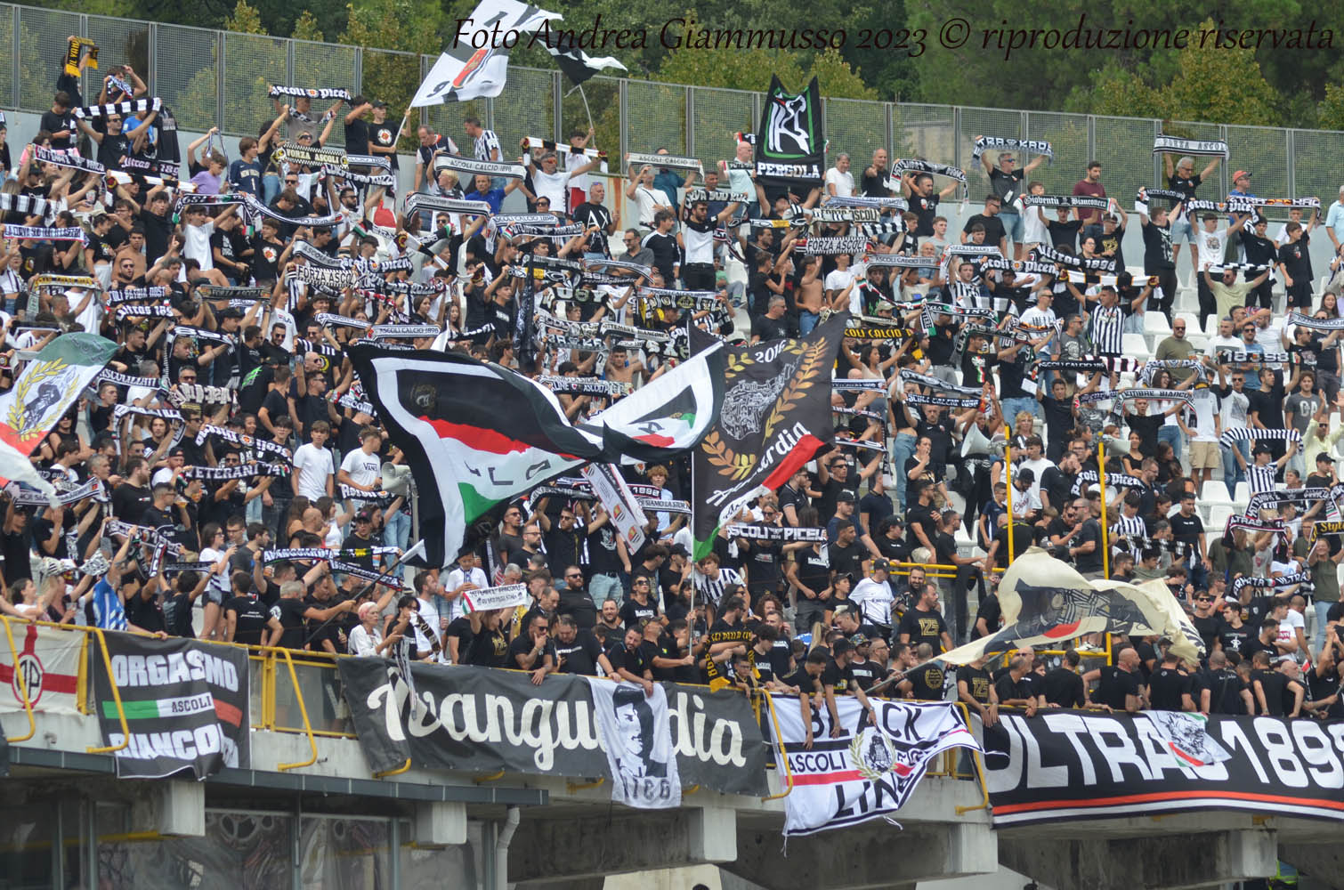 AscoliCatanzaro, arbitra Santoro di Messina. Natale e Serie BKT