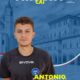 TARLI PROMOZIONE